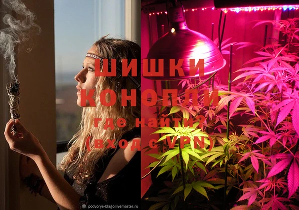 герыч Ладушкин