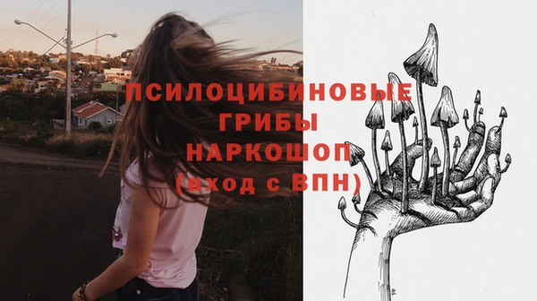 крисы Кукмор