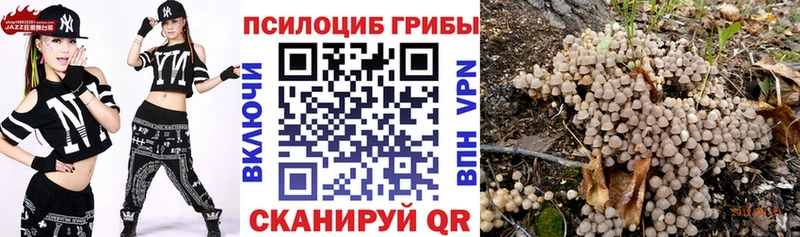 Псилоцибиновые грибы Psilocybine cubensis  Купить где  Калининск 